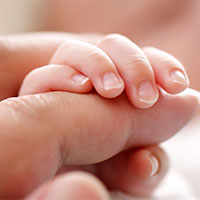 Project Manager Digital Freelance