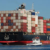 Project Manager Digital Freelance